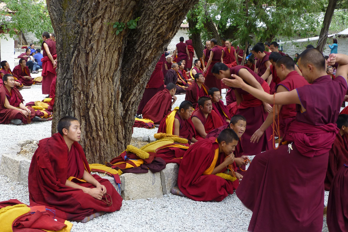 tibetan monks in conversation